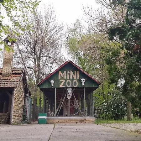 Guljas Carda Old * Supljak